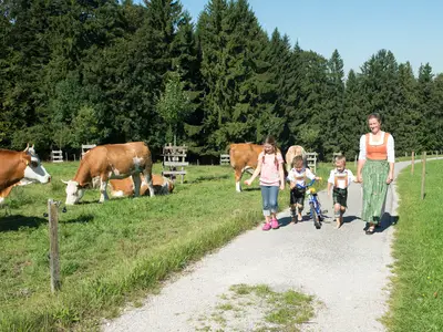 Sommerlandschaft