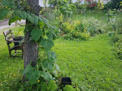 Haus vom Garten aus