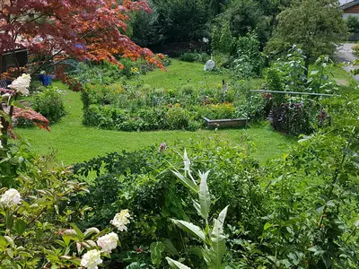 Blick in den Garten