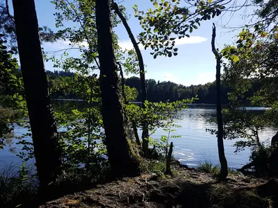 Tüttensee