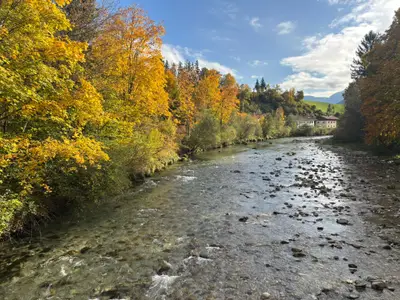 Die Ferienwohnung befindet sich in einer absolut ruhigen Umgebung, mitten in der wunderschönen Natur.