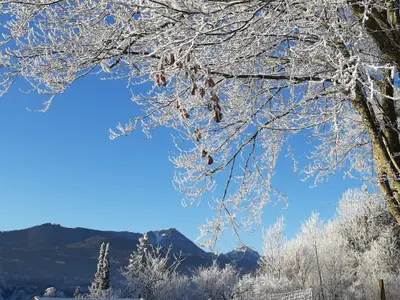 Ausblick auf den Hochfelln