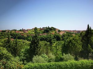 23473816-Ferienwohnung-2-Siena-300x225-4