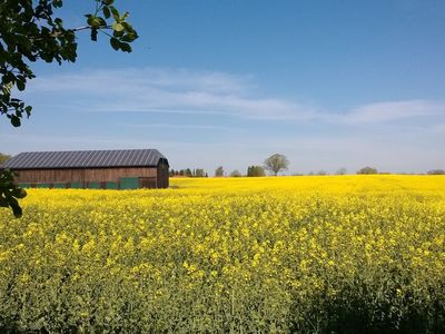 Landschaft