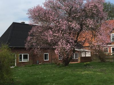 Unser Haus im Frühling