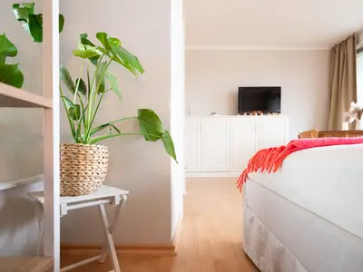 TV / Multimedia