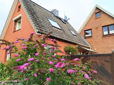 Ferienwohnung für 3 Personen (43 m²) in Sierksdorf 2/8