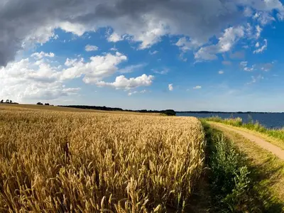 Ferienwohnung für 2 Personen (30 m²) in Sierksdorf 5/10
