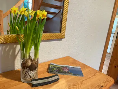 Ferienwohnung für 6 Personen (120 m²) in Sieseby 4/10