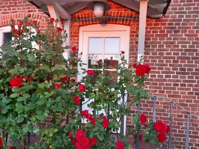 Ferienwohnung für 2 Personen (60 m²) in Sieseby 2/10