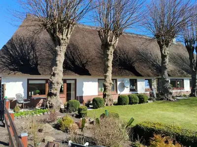 Ferienwohnung für 4 Personen (64 m²) in Sieverstedt 9/10