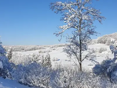 Siglistorf im Winter