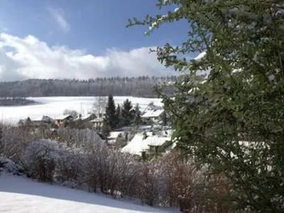 im Winter
