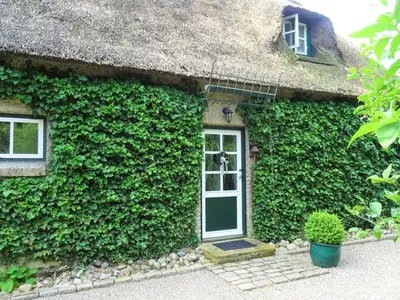 Ferienwohnung für 4 Personen (85 m²) in Silberstedt 3/10