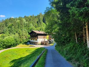 23284433-Ferienwohnung-6-Silbertal-300x225-2