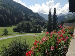 24052831-Ferienwohnung-4-Silbertal-300x225-3