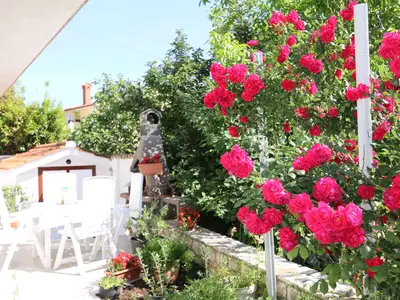 Ferienwohnung für 4 Personen (45 m²) in Šilo 3/10