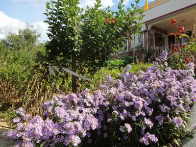 Ferienwohnung für 4 Personen (60 m²) in Šilo 6/10