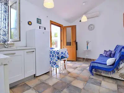 Ferienwohnung für 4 Personen (48 m²) in Šilo 6/10