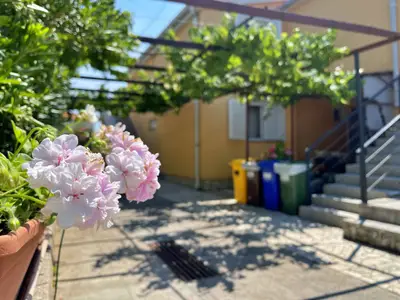 Ferienwohnung für 4 Personen (40 m²) in Šilo 10/10