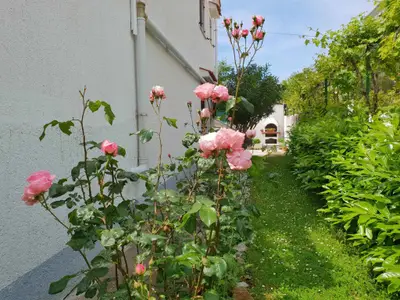 Ferienwohnung für 4 Personen (60 m²) in Šilo 4/10
