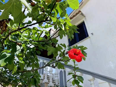 Ferienwohnung für 3 Personen (28 m²) in Šilo 9/10