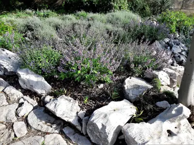 Ferienwohnung für 4 Personen (50 m²) in Šilo 10/10