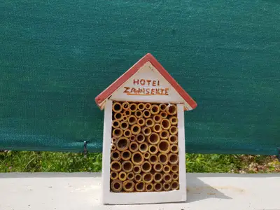 Ferienwohnung für 4 Personen (60 m²) in Šilo 8/10