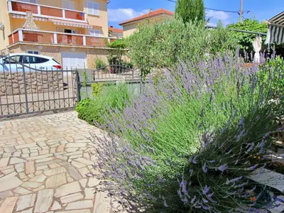 Ferienwohnung für 4 Personen (60 m²) in Šilo 7/10