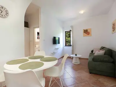 Ferienwohnung für 4 Personen (50 m²) in Šilo 7/10