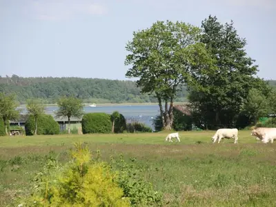 Ferienwohnung für 6 Personen (90 m²) in Silz (Müritz) 10/10