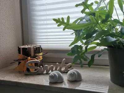 Ferienwohnung für 3 Personen (50 m²) in Silz (Pfalz) 2/10