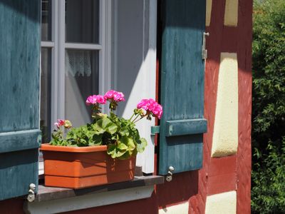 Ferienwohnung für 4 Personen (43 m²) in Simmershofen 6/10