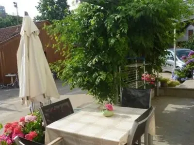 Hortensie überdachte Terrasse