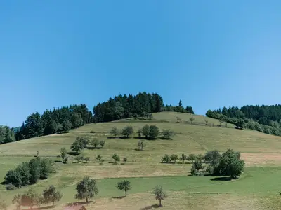 Ferienparadies Ochsen