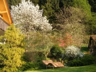 Ferienwohnung für 5 Personen (80 m²) in Simonswald 8/10