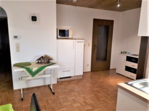 21710705-Ferienwohnung-6-Sinsheim-300x225-4