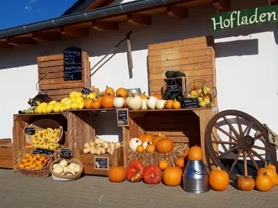 Ferienwohnung für 5 Personen (70 m²) in Sinzig 7/10