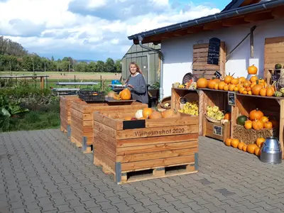 Ferienwohnung für 5 Personen (70 m²) in Sinzig 10/10