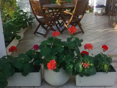 Ferienwohnung für 4 Personen (40 m²) in Siófok 10/10