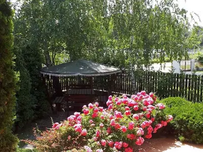 Ferienwohnung für 4 Personen (60 m²) in Siófok 3/10