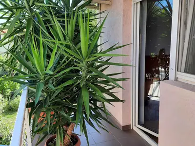 Ferienwohnung für 4 Personen (52 m²) in Siófok 3/10