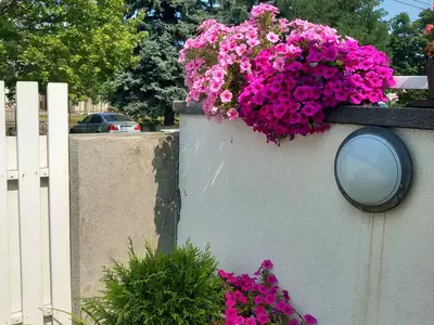 Ferienwohnung für 6 Personen (65 m²) in Siófok 10/10