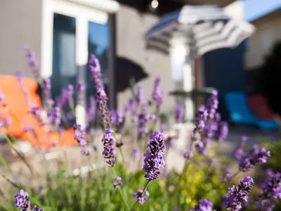 Ferienwohnung für 6 Personen (50 m²) in Siófok 4/10