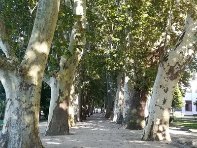 Ferienwohnung für 4 Personen (45 m²) in Siófok 3/10