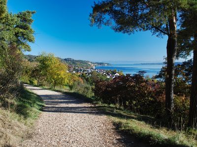 Sipplingen Wanderweg