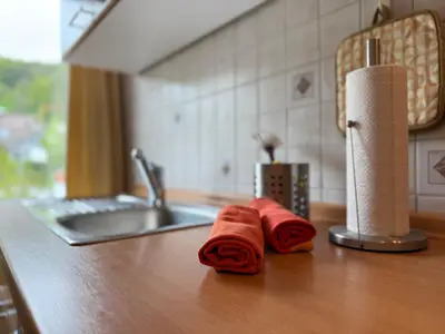 Ferienwohnung für 4 Personen (75 m²) in Sipplingen 10/10
