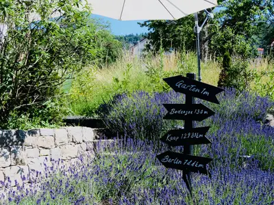 Ferienwohnung für 4 Personen (65 m²) in Sipplingen 1/10