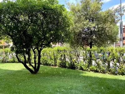 Ferienwohnung für 6 Personen (50 m²) in Sirmione 2/10