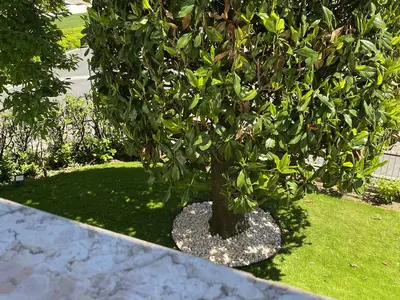 Ferienwohnung für 6 Personen (50 m²) in Sirmione 2/10